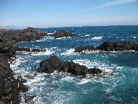 azzo-20110227 074
